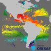 GOES-East Sea Surface Temperature