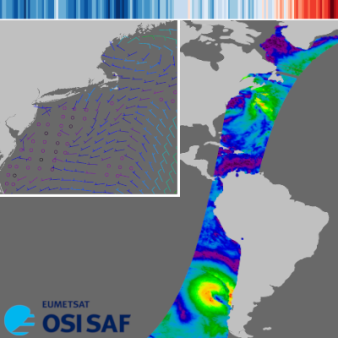 SeaWinds L2 50 km winds data record