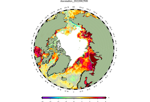 Temperature anomalies in the sea surface north of the 58th parallel