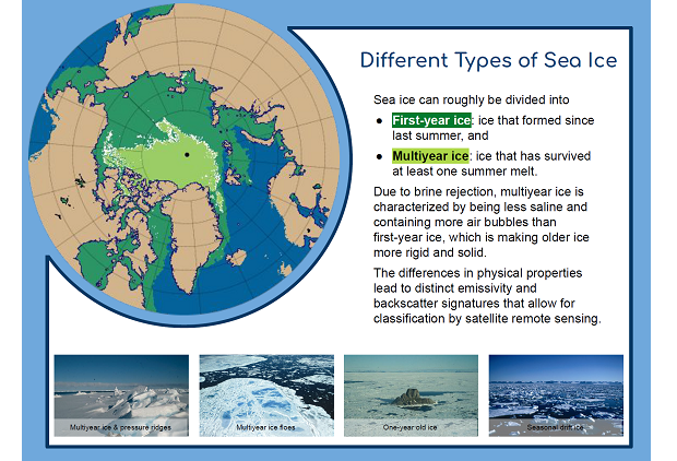 Different Sea Ice Types
