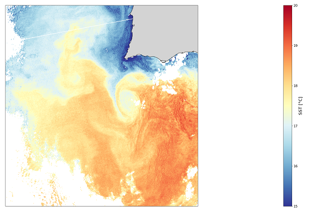 Sea Surface Temperature From MetOp-B